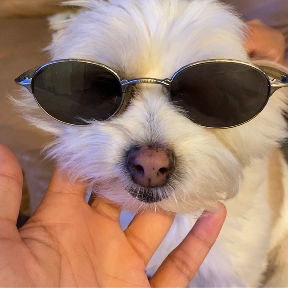 Meet da Posher, Kasandra - Picture 2 of 5